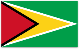 Guyana flag